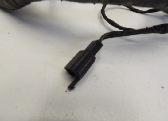 Wire Harness Kawasaki ZX 10 R