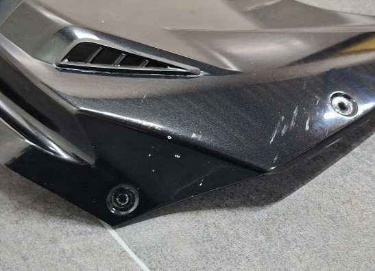 Tankschutz BMW S 1000 RR