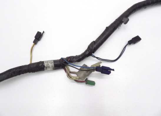 Wire Harness Yamaha FZR 600