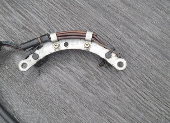 Pickup coil Yamaha TR1