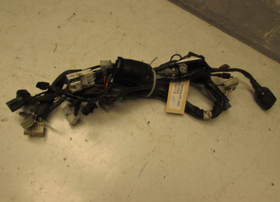 Wire Harness Yamaha FAZER 1000