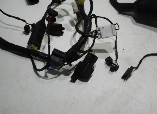 Wire Harness Triumph 900 Daytona