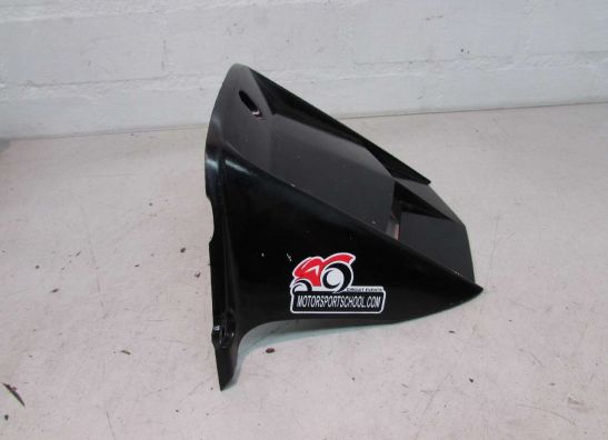 Achterspatbord Yamaha YZF R6