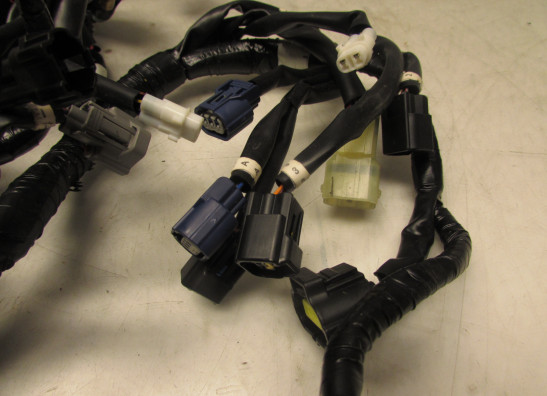 Kabelbaum Yamaha YZF R1