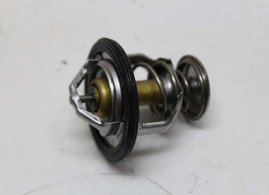 Thermostaat Honda CRF 1100 Africa Twin