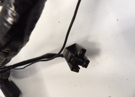 Kabelboom Triumph Trophy 900