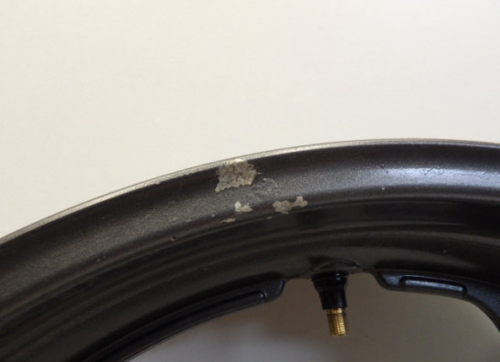 Voorvelg Suzuki SV 650