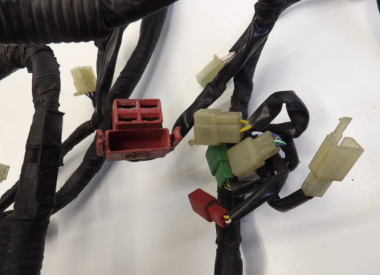 Kabelboom Honda CBR 600 F