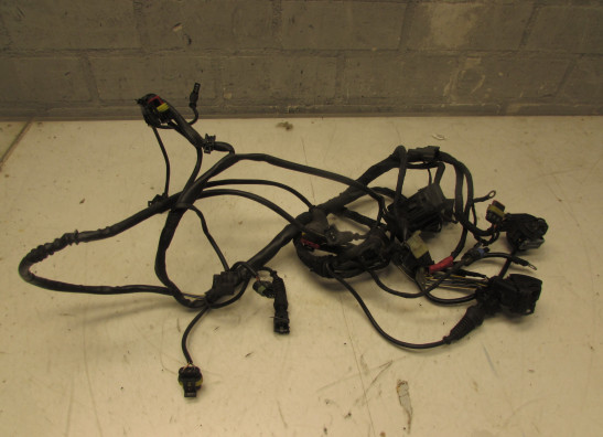 Kabelboom Ducati Multistrada 1000