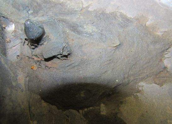 Linker zijkuip klein Honda CB 750 