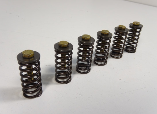 Kupplung Aprilia Tuono 1000