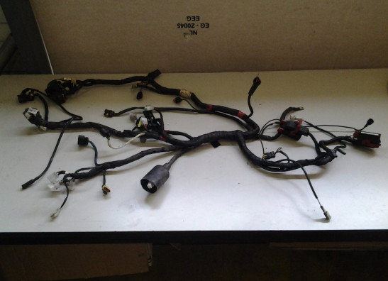 Wire Harness Aprilia Shiver 750