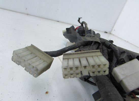 Kabelboom Honda VT 500