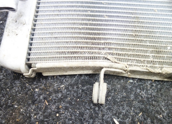 Kuhler Kawasaki Ninja 125