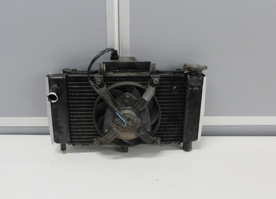 Radiator Yamaha FZ6