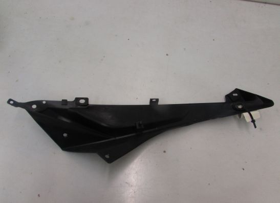 Linker zijkuip klein BMW S 1000 RR