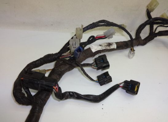 Wire Harness Yamaha YZF 600 Thundercat