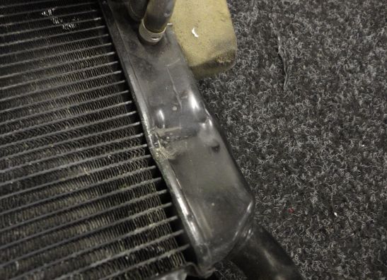 Kuhler Yamaha XJ 600 Diversion