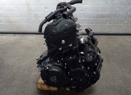 Motorblok Triumph Tiger 900 Rally Pro