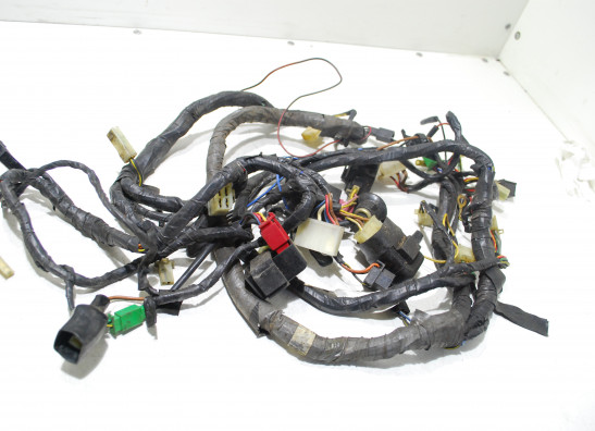 Wire Harness Kawasaki ZZR 1100