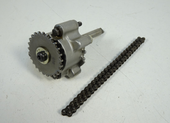 Olpumpe Triumph Sprint ST 1050
