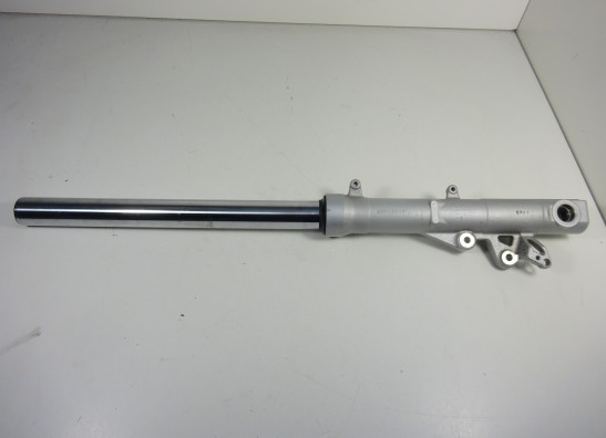 Voorpoot links compleet BMW F 800 S - ST