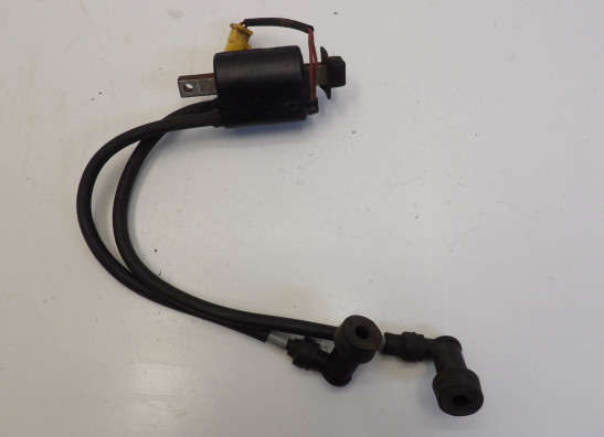 Bobine Yamaha YX 600 Radian