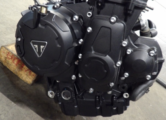 Motorblok Triumph Tiger 900 Rally Pro