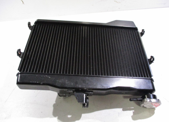 Radiator Yamaha MT 07