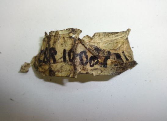 Gear change pedal  Honda CBR 1000 F