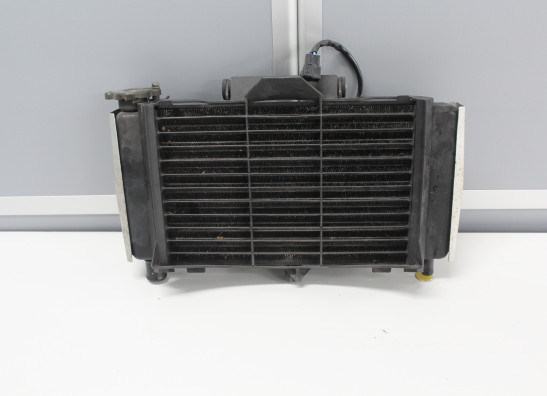 Radiator Yamaha FZ6