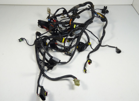 Wire Harness Ducati monster 600
