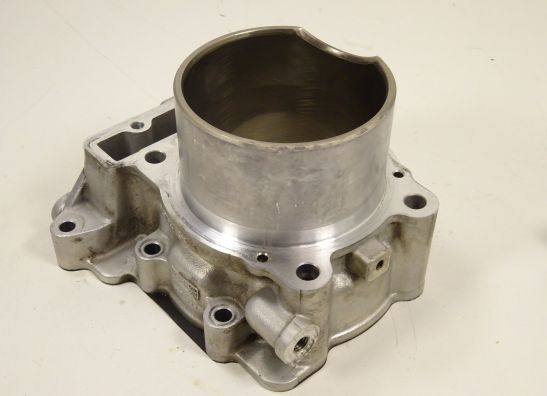 Cilinderblok Aprilia RSV 1000