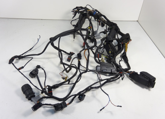 Kabelboom BMW F 800 S - ST