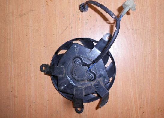Fan Suzuki DL 650 V STROM