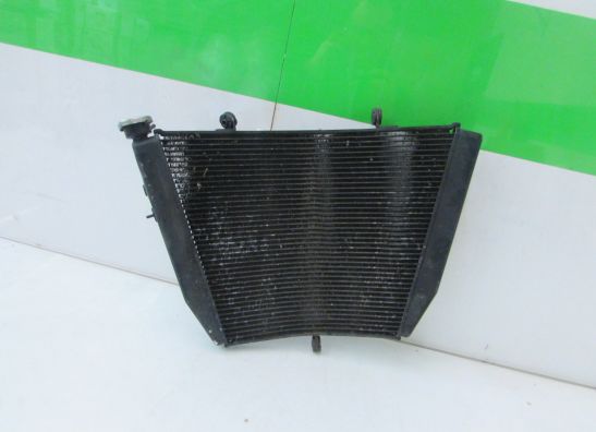 Radiator Suzuki GSX R 750