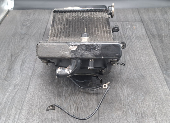 Kuhler Honda CBR Fireblade