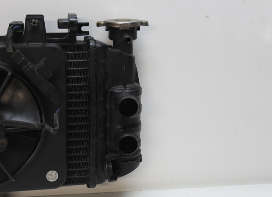 Radiateur BMW F 800 S - ST