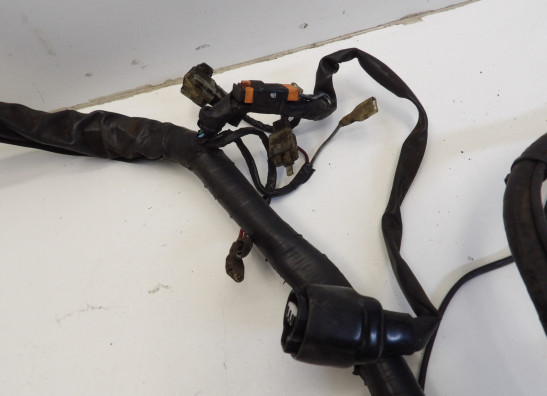 Kabelboom Yamaha FAZER 600