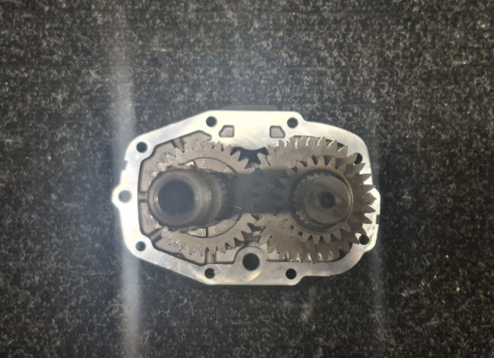 Versnellingsbak Harley Davidson FLSTF Fat Boy