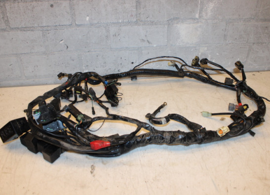 Wire Harness Triumph Sprint RS