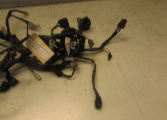 Wire Harness Yamaha FJR 1300