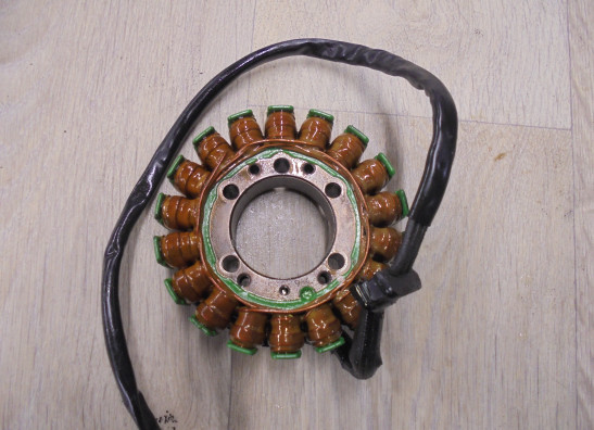 Dynamo Kawasaki Z 800