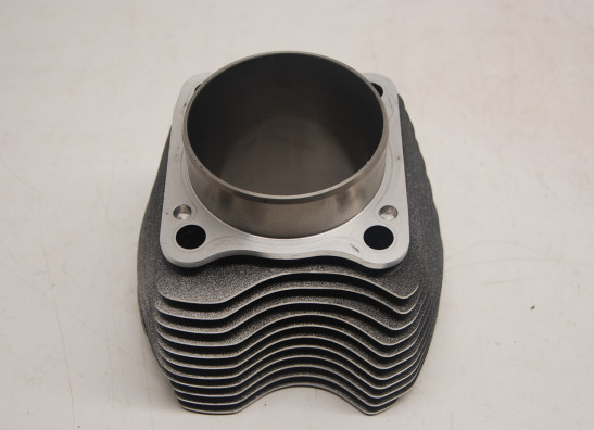 Cilinderblok Harley Davidson Softtail