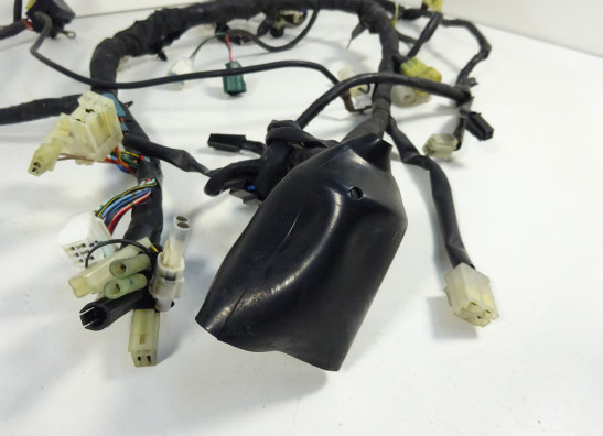 Kabelboom Yamaha FZ6