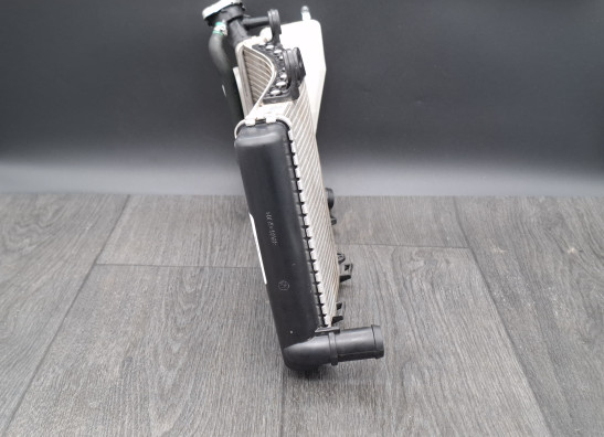 Radiateur BMW F 900 XR