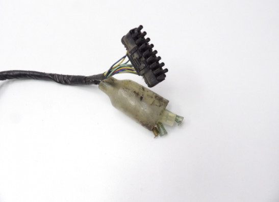 Wire Harness Honda CBR 1100 XX