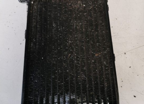 Kuhler Aprilia RSV 1000