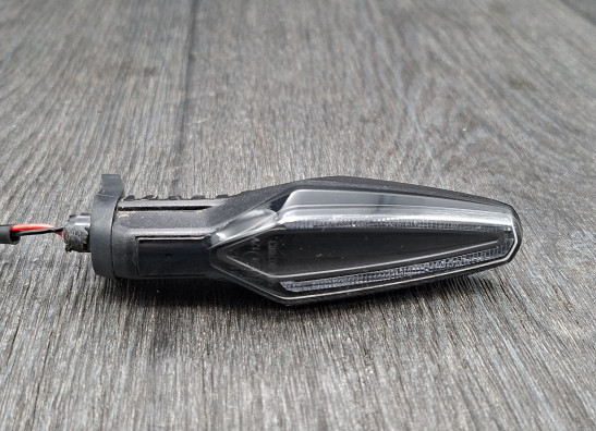 Knipperlicht rechts achter BMW F 900 XR