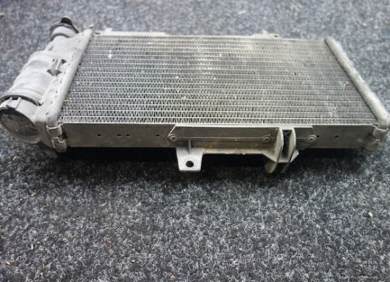 Radiator BMW F 800 S - ST